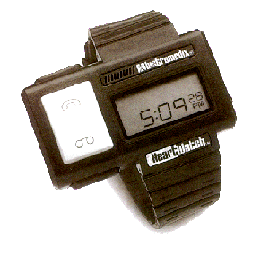 21.gif (97397 bytes)